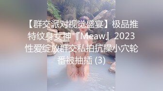 【群交派对视觉盛宴】极品推特纹身女神『Meaw』2023性爱绽放群交私拍抗操小穴轮番被抽插 (3)