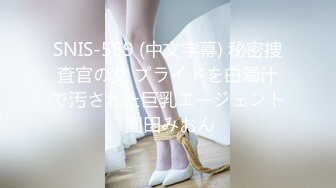 SNIS-589 (中文字幕) 秘密捜査官の女 プライドを白濁汁で汚された巨乳エージェント 園田みおん