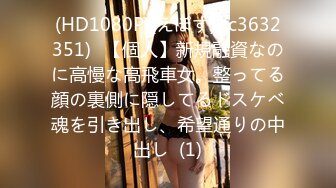 (HD1080P)(えぽす)(fc3632351)﻿【個人】新規融資なのに高慢な高飛車女。整ってる顔の裏側に隠してるドスケベ魂を引き出し、希望通りの中出し  (1)