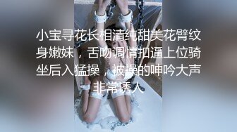 小宝寻花长相清纯甜美花臂纹身嫩妹，舌吻调情扣逼上位骑坐后入猛操，被操的呻吟大声非常诱人