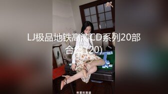 LJ极品地铁高清CD系列20部合集 (20)